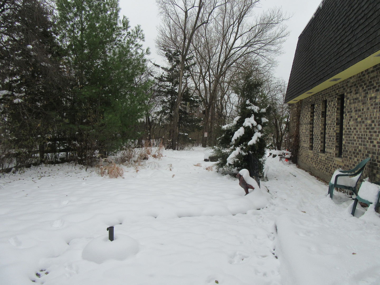 740 N Junior Terrace, Elmhurst, IL 60126