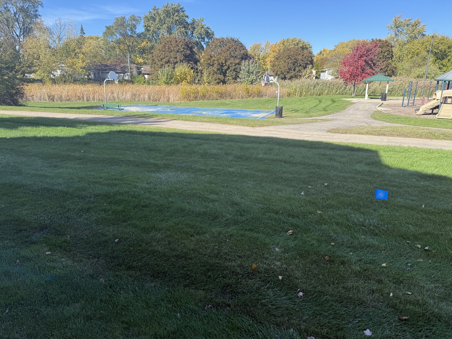 1319 Kingsbury Drive #2, Hanover Park, IL 60133