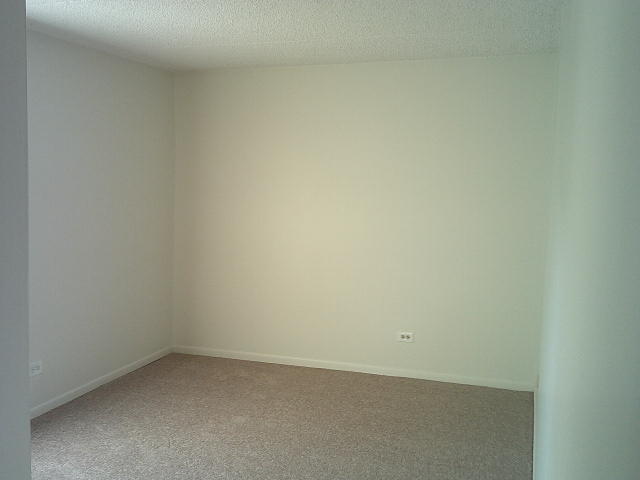 4855 W 137th Street #C01, Crestwood, IL 60418