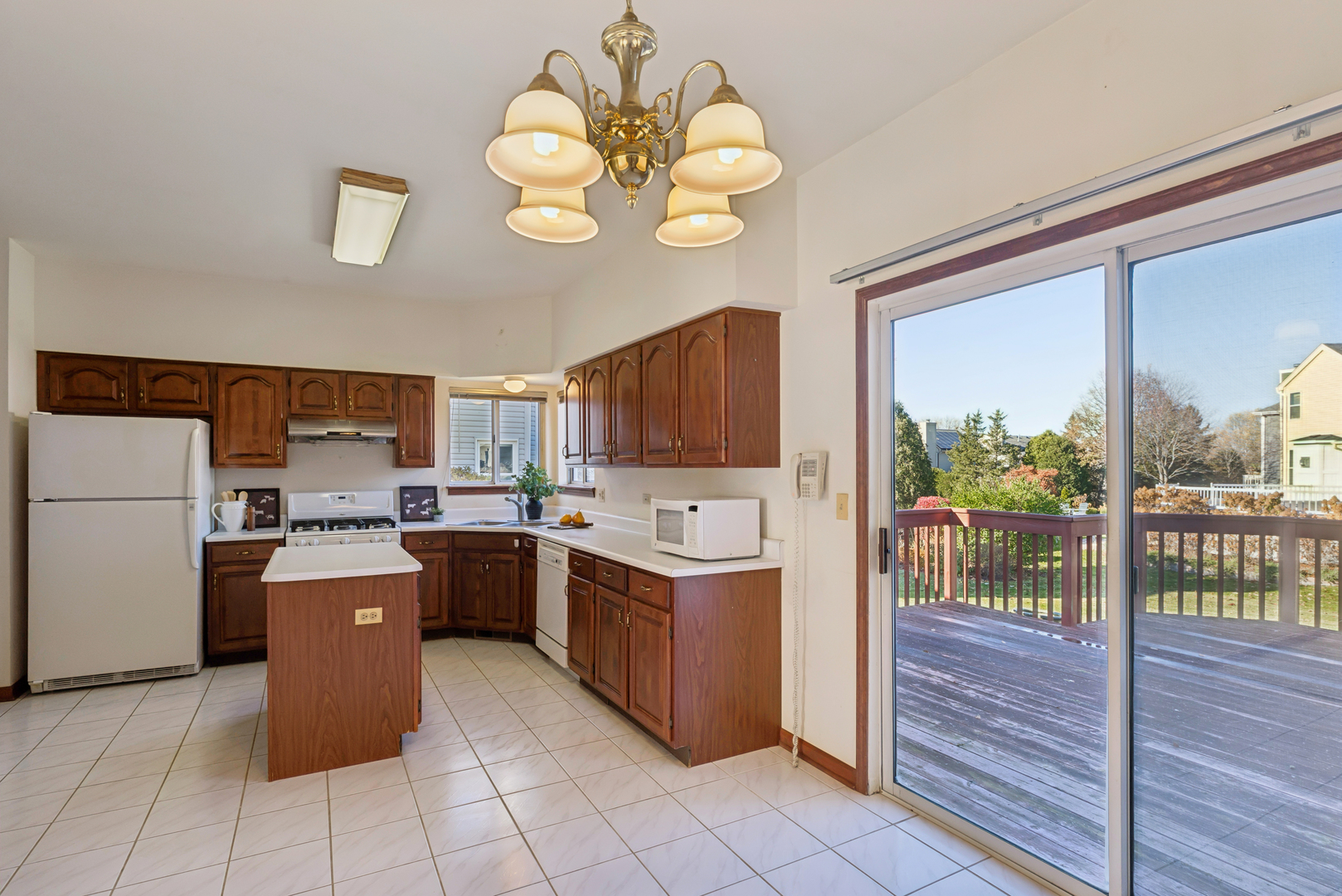 1166 Hummingbird Lane, Grayslake, IL 60030