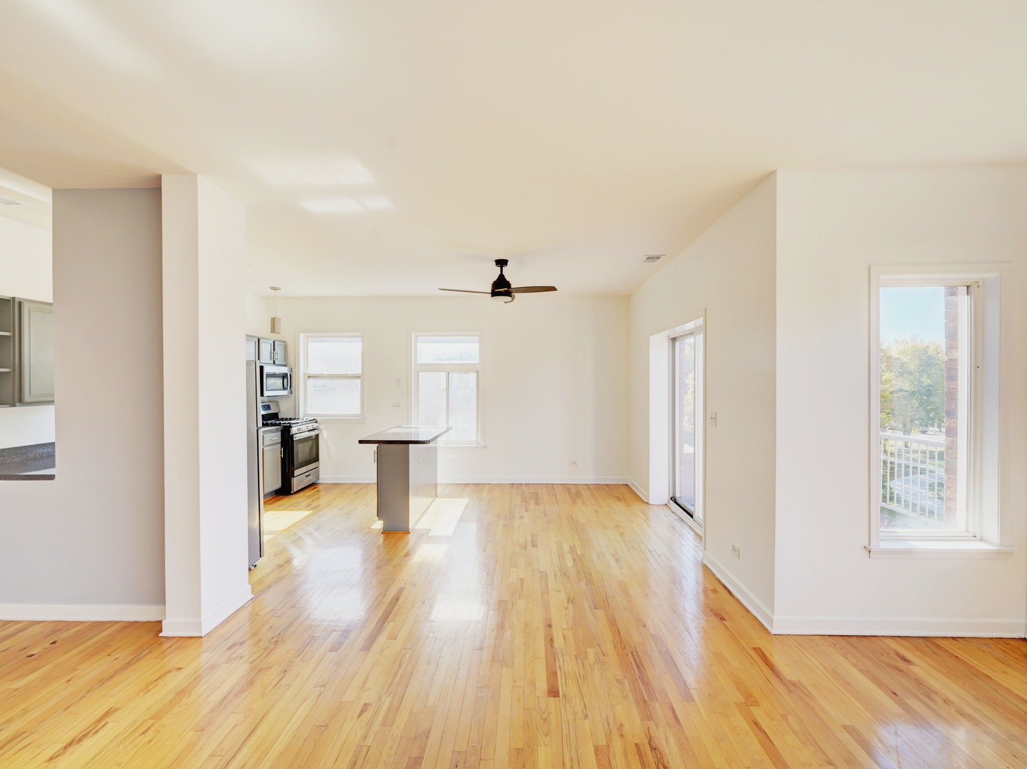 757 S Independence Boulevard #3S, Chicago, IL 60624