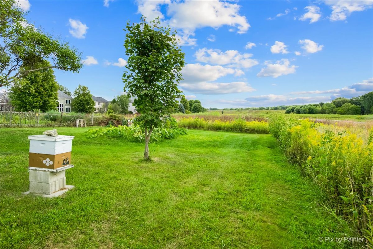 3N369 Lafox Road, St. Charles, IL 60175