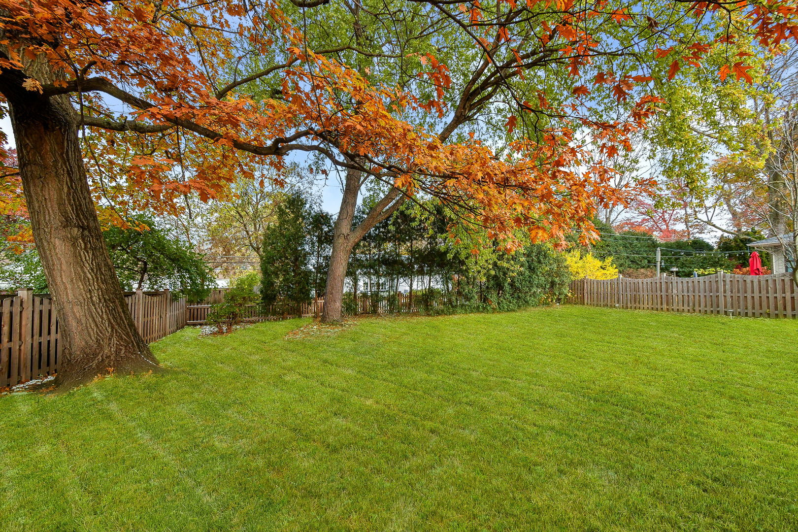 Glen Ellyn, IL 60137