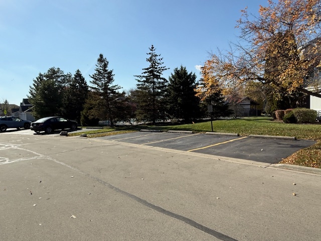 310 OAK MEADOW Court #D2, Schaumburg, IL 60193