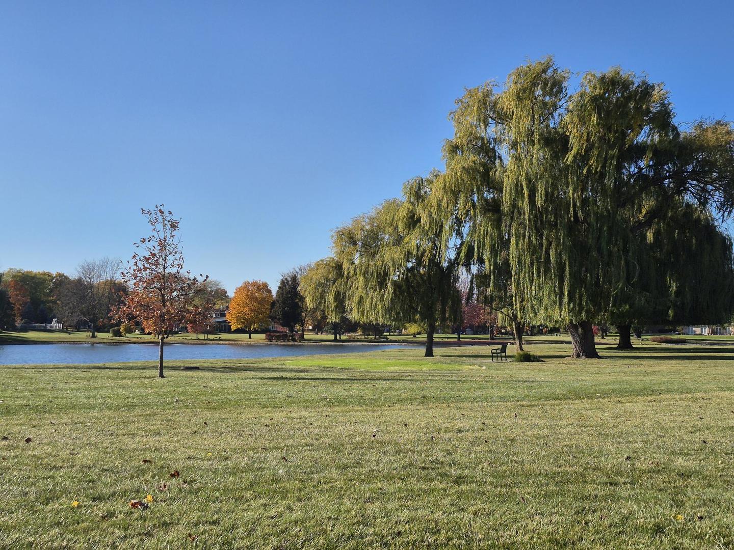 643 Burgundy Court #B, Elk Grove Village, IL 60007