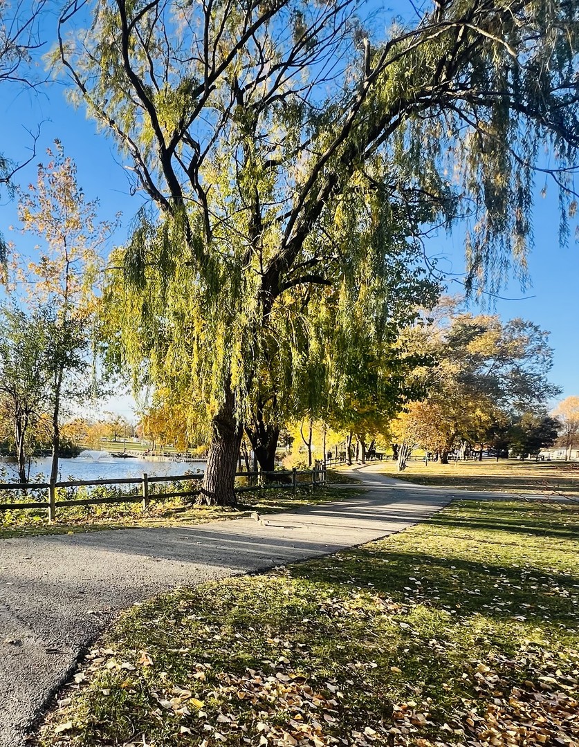 5721 W 103rd Street #204, Oak Lawn, IL 60453