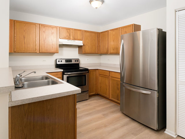 1309 Silverstone Drive #1309, Carpentersville, IL 60110