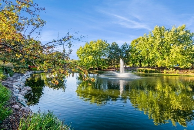 Orland Park, IL 60462