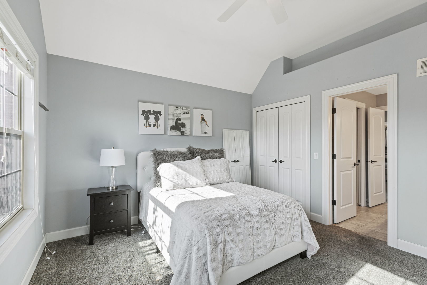 25118 W Zoumar Drive, Plainfield, IL 60586