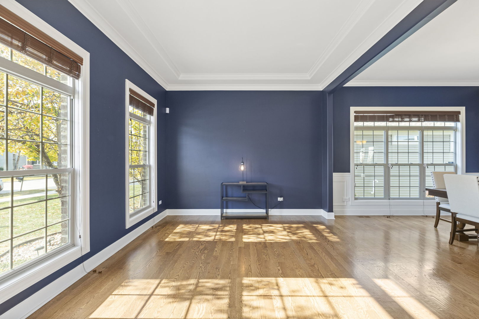 25118 W Zoumar Drive, Plainfield, IL 60586