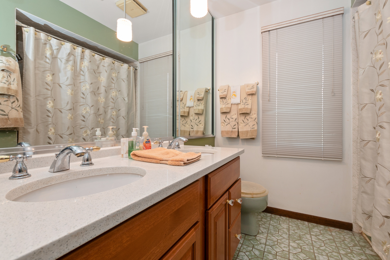 9940 S Wood Lane, Palos Hills, IL 60465