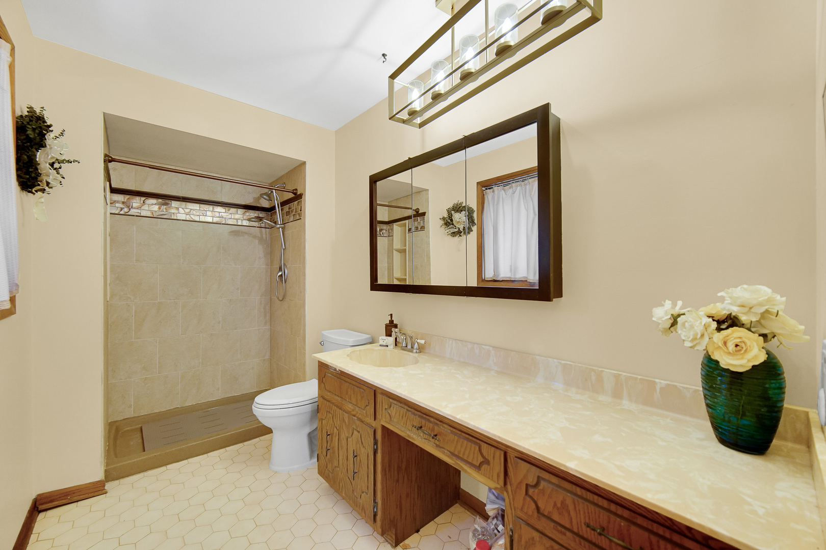 13226 Farm View Street, Homer Glen, IL 60491