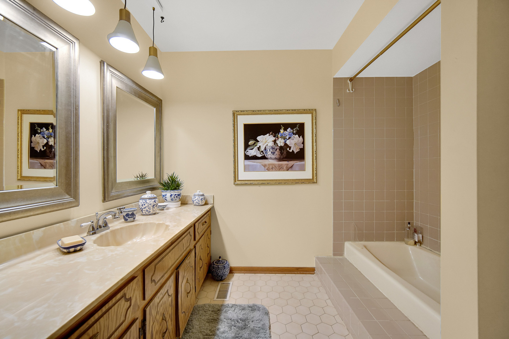 13226 Farm View Street, Homer Glen, IL 60491