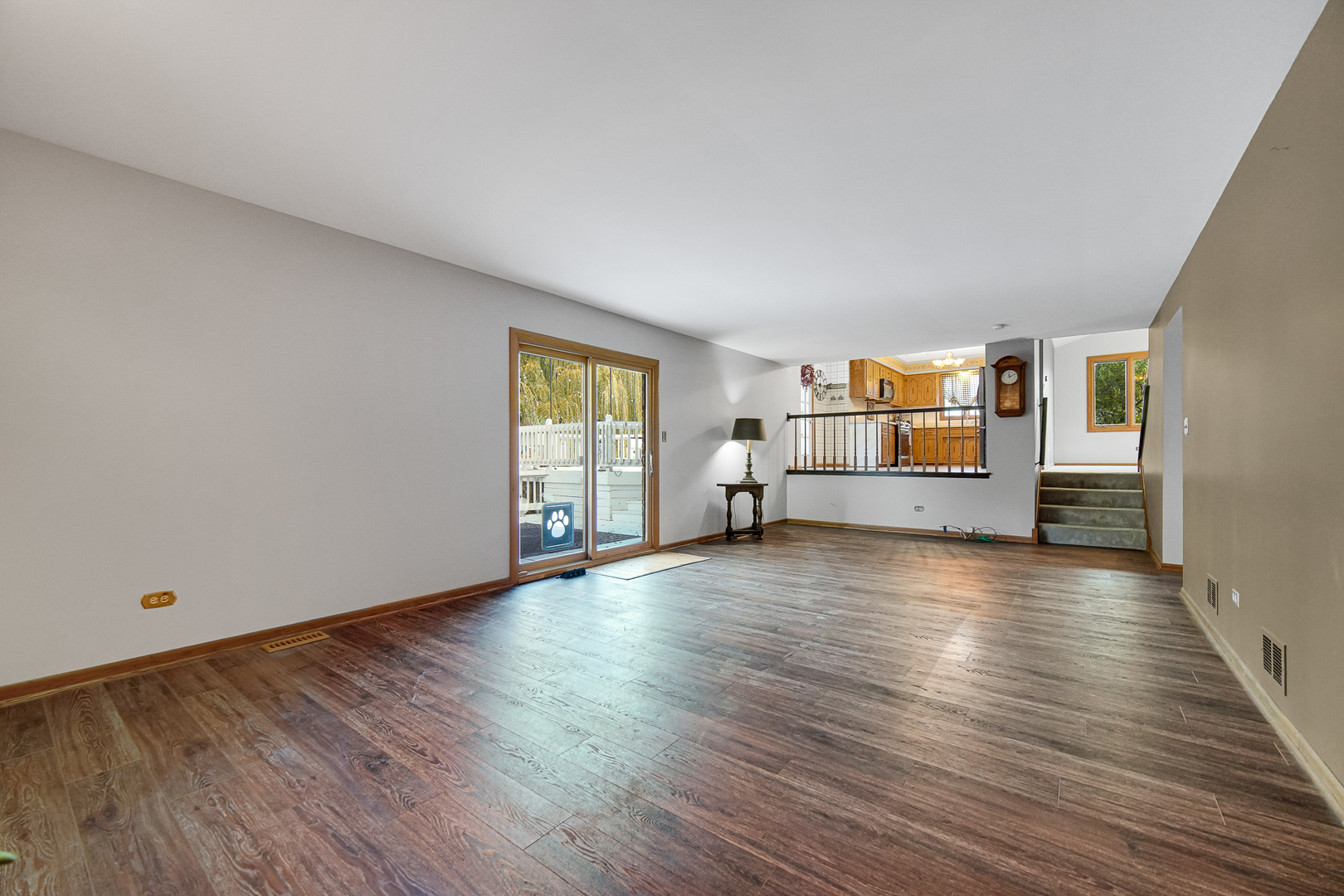 13226 Farm View Street, Homer Glen, IL 60491