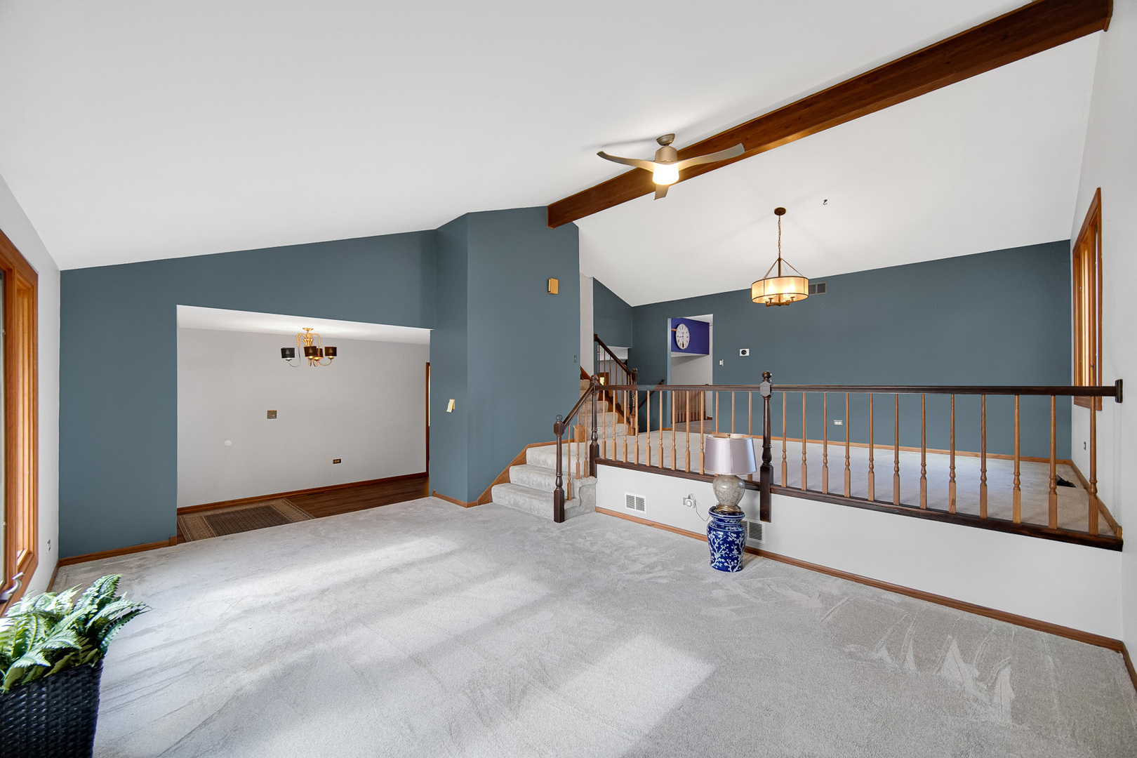 13226 Farm View Street, Homer Glen, IL 60491