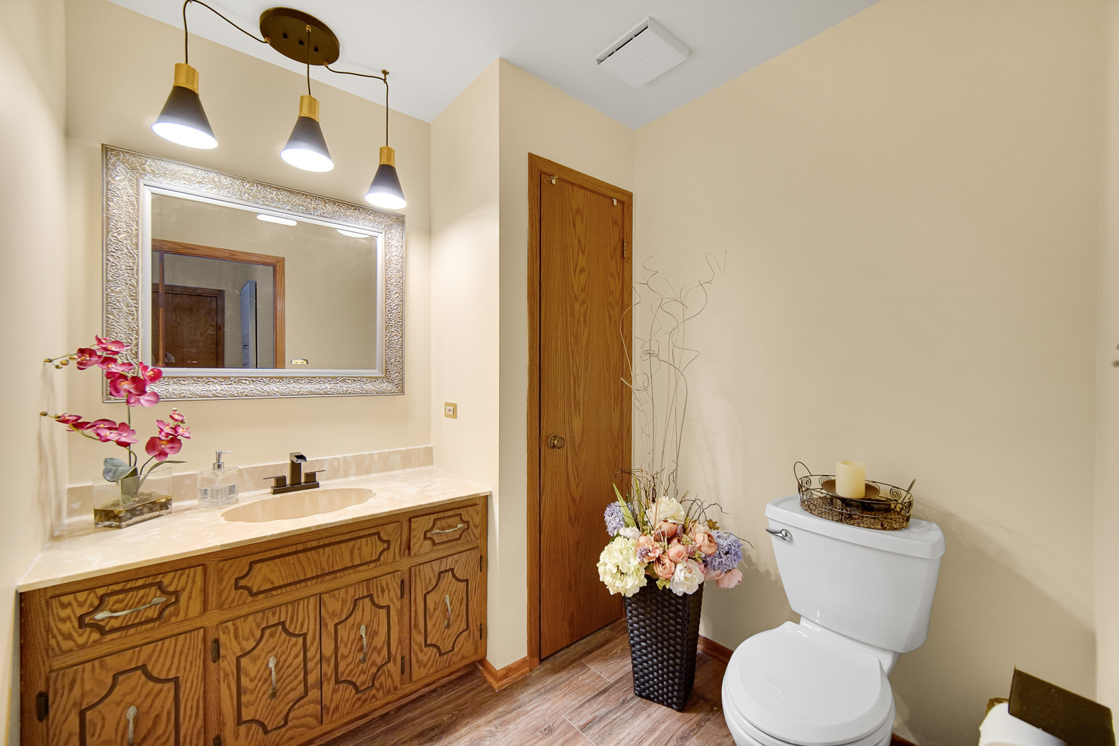 13226 Farm View Street, Homer Glen, IL 60491