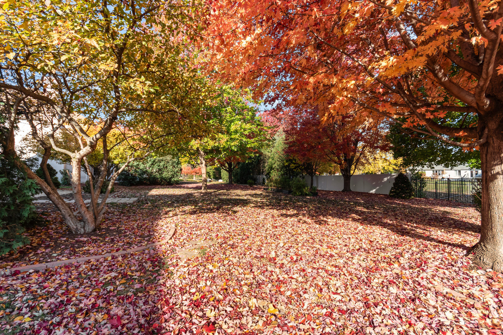 1129 Heartland Drive, Yorkville, IL 60560