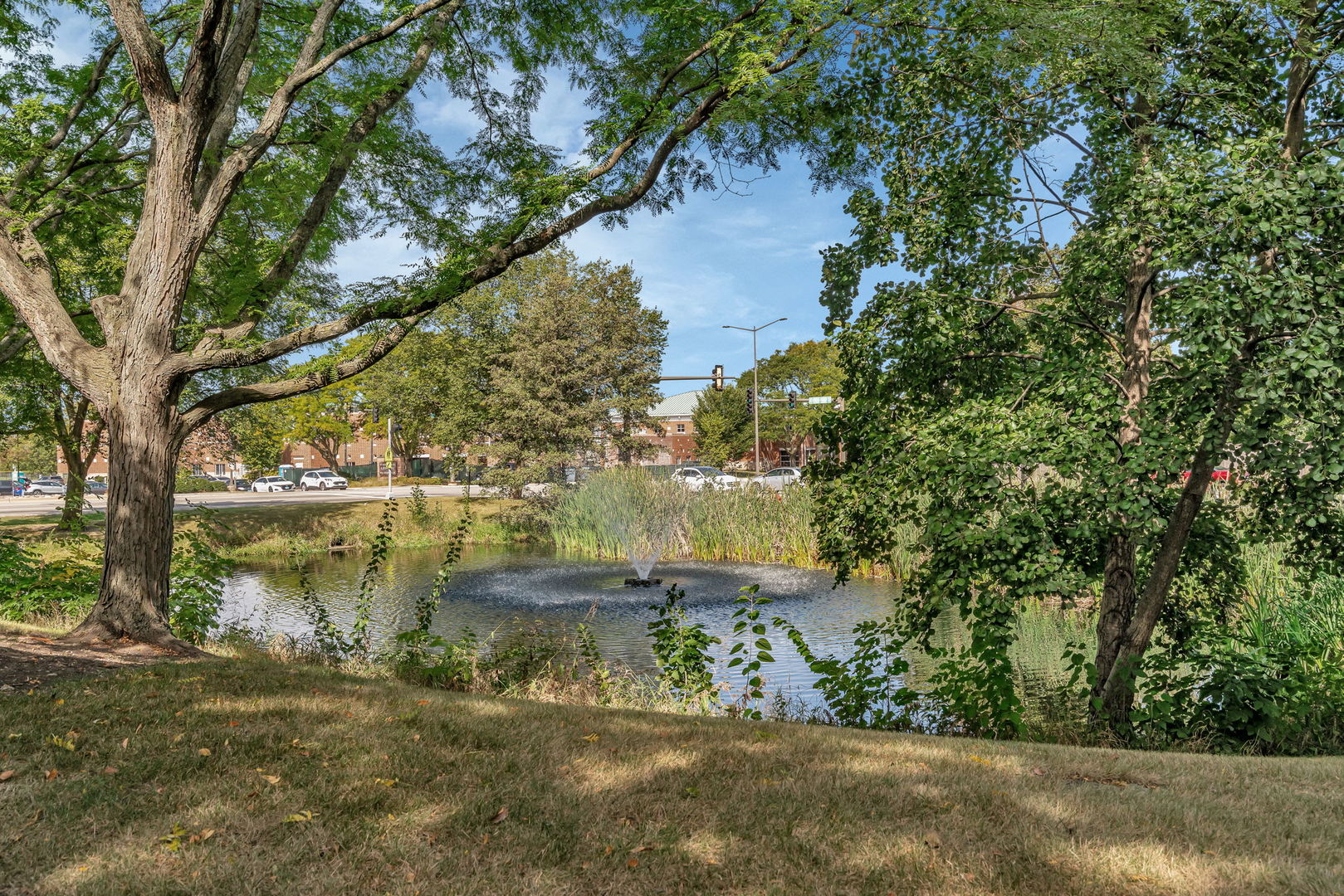 2750 shelly Lane, Aurora, IL 60504