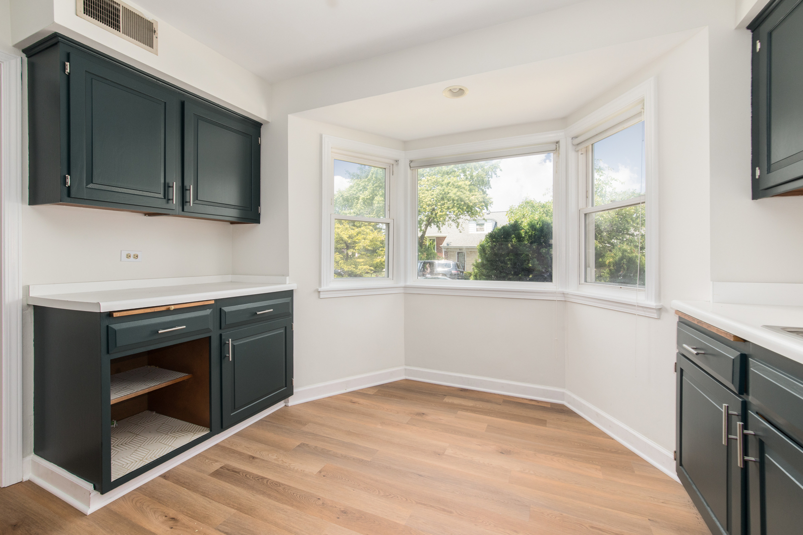 907 Wilkinson Parkway, Park Ridge, IL 60068