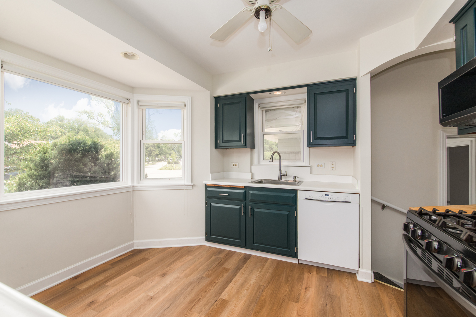 907 Wilkinson Parkway, Park Ridge, IL 60068