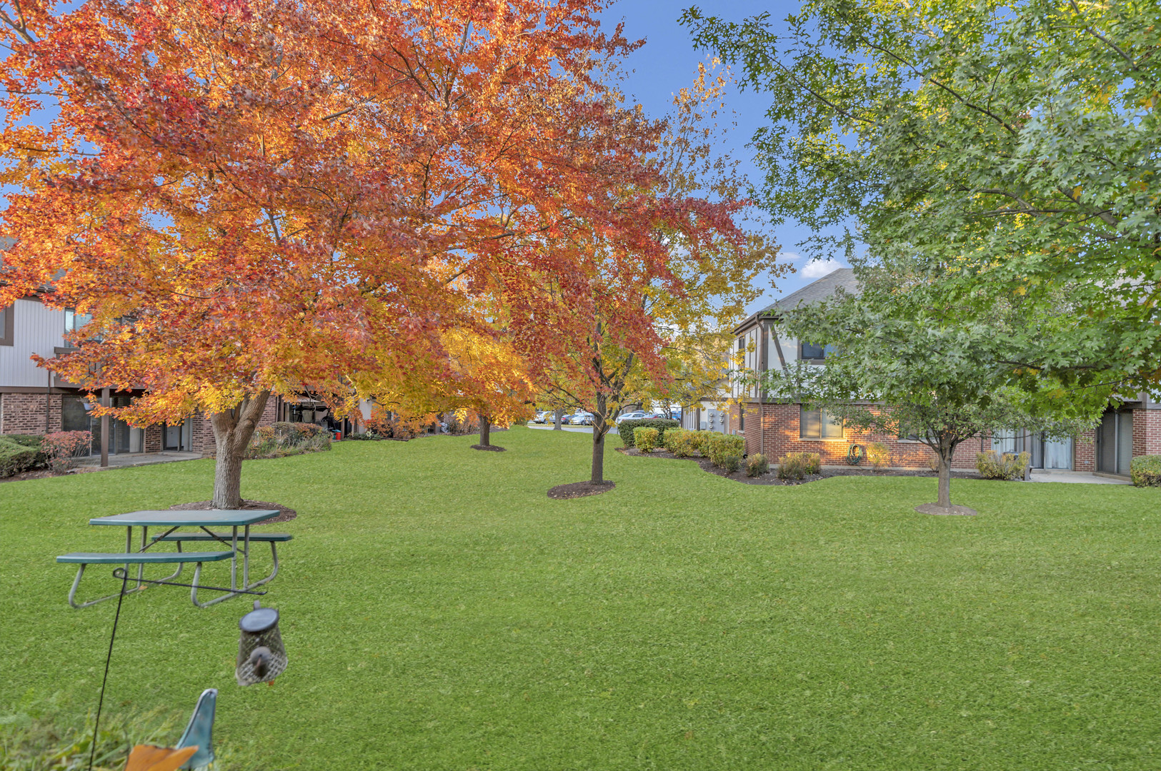 1256 Plum Tree Court #D1, Schaumburg, IL 60193