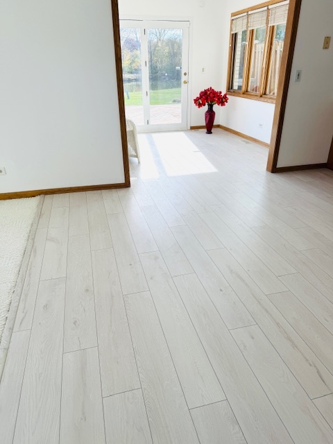 13735 W Meath Drive, Homer Glen, IL 60491