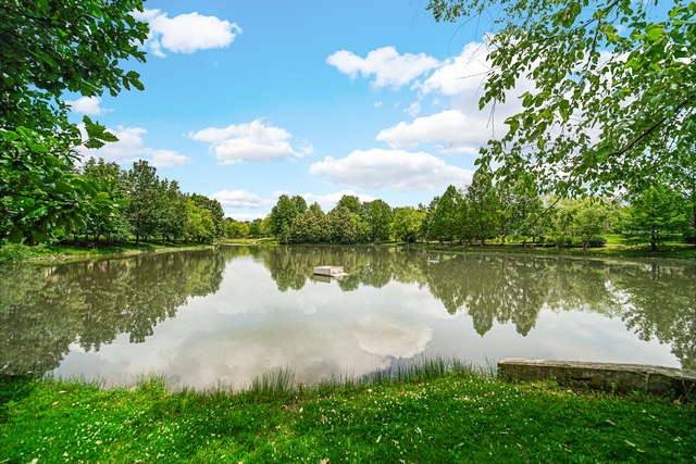 357 Lucille Lane, Schaumburg, IL 60194