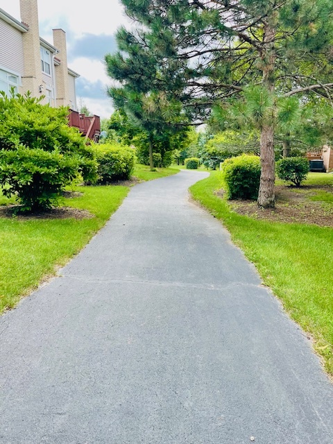 357 Lucille Lane, Schaumburg, IL 60194