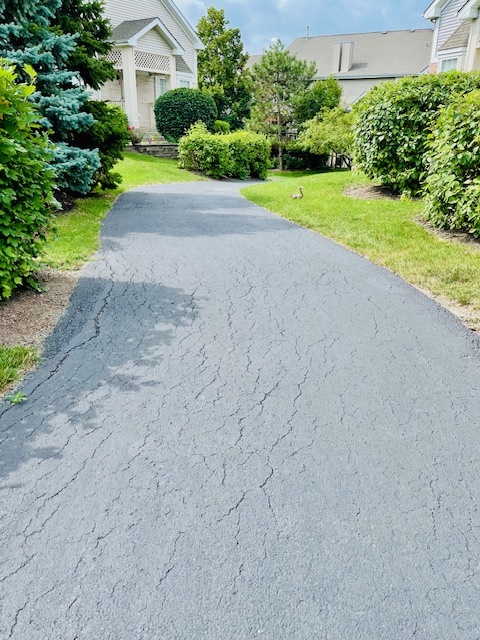 357 Lucille Lane, Schaumburg, IL 60194