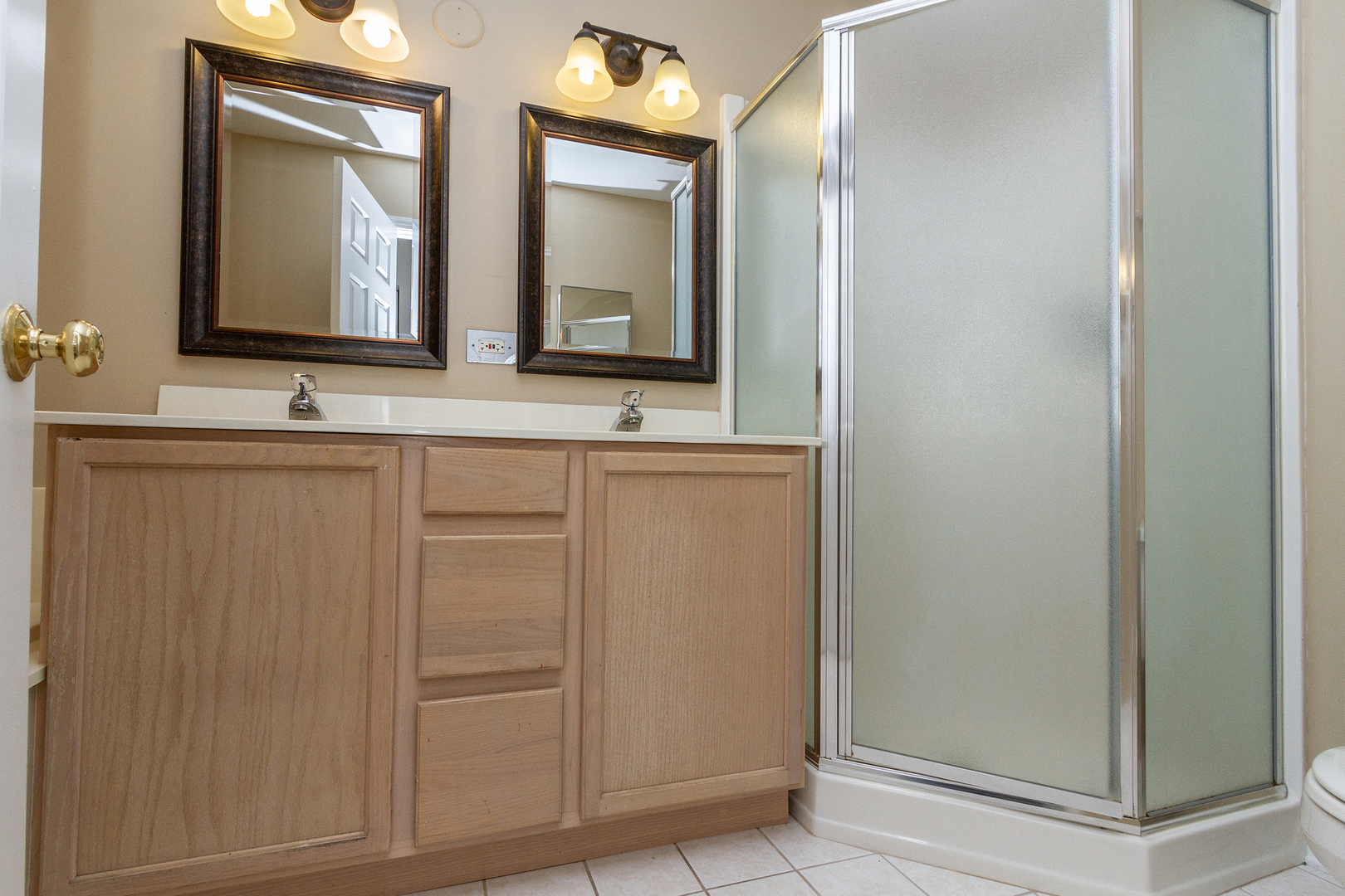 357 Lucille Lane, Schaumburg, IL 60194