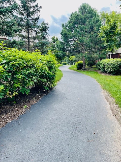 357 Lucille Lane, Schaumburg, IL 60194