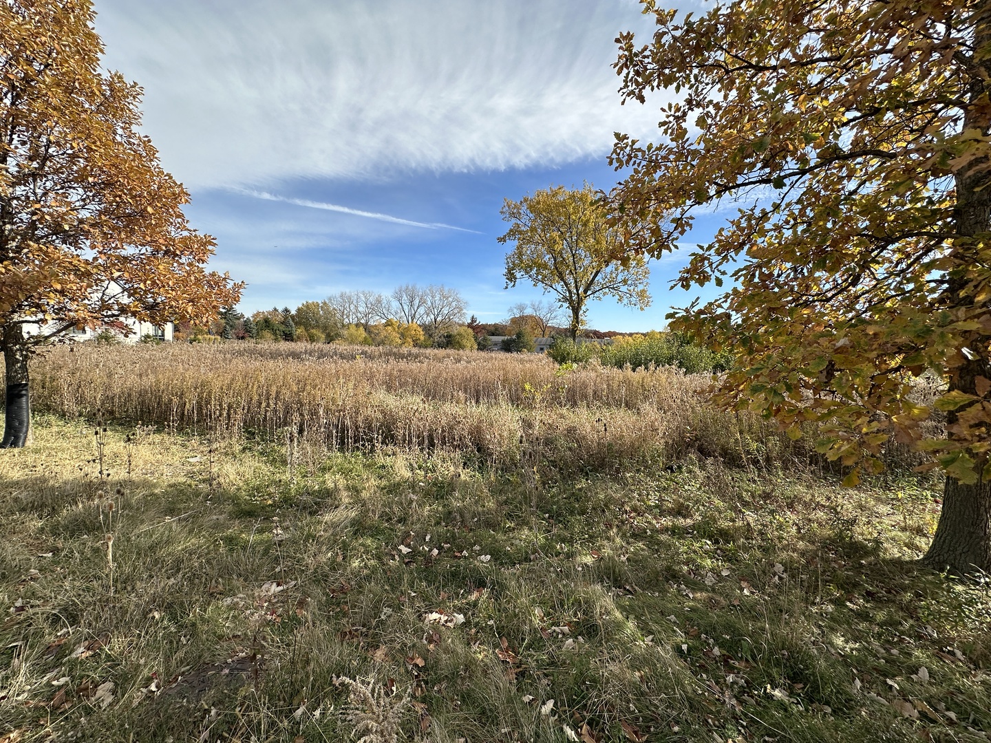 3 TEMPLETON Drive, Oak Brook, IL 60523