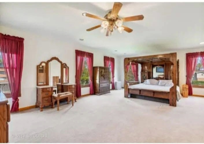 19738 W Martin Drive, Mundelein, IL 60060