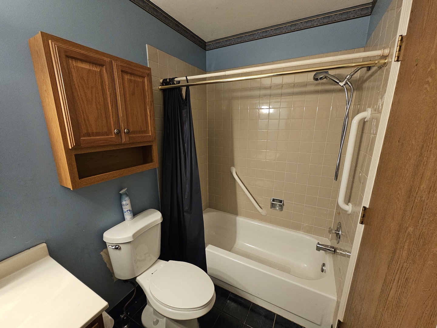 2543 College Hill Circle, Schaumburg, IL 60173