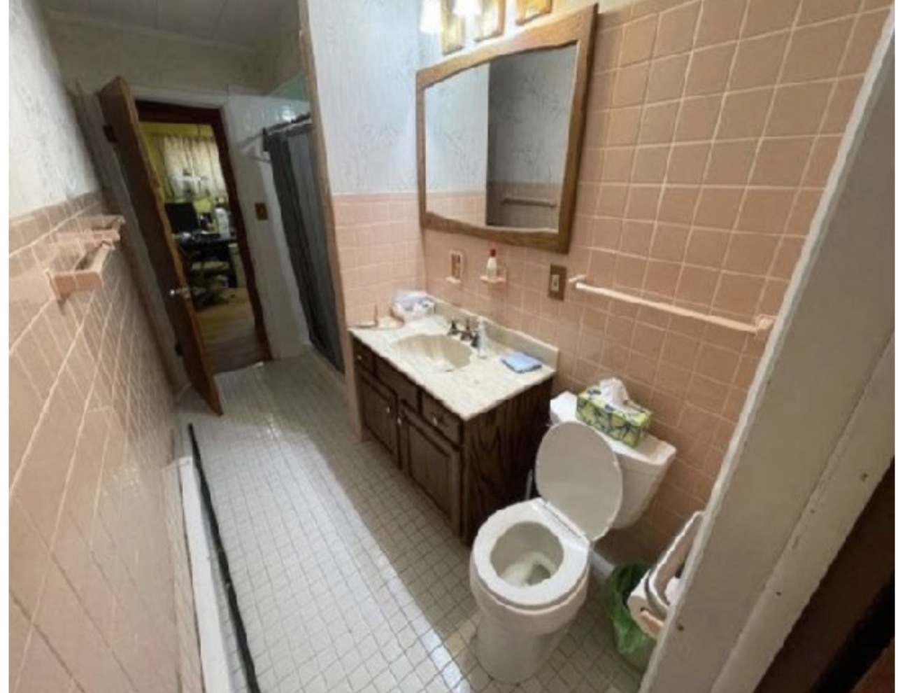 10009 Meadow Lane, Des Plaines, IL 60016