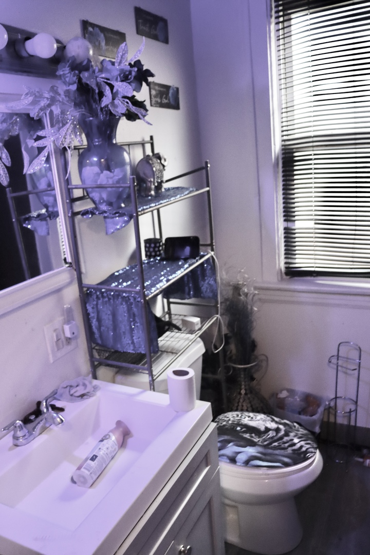 6225 S Albany Avenue, Chicago, IL 60629