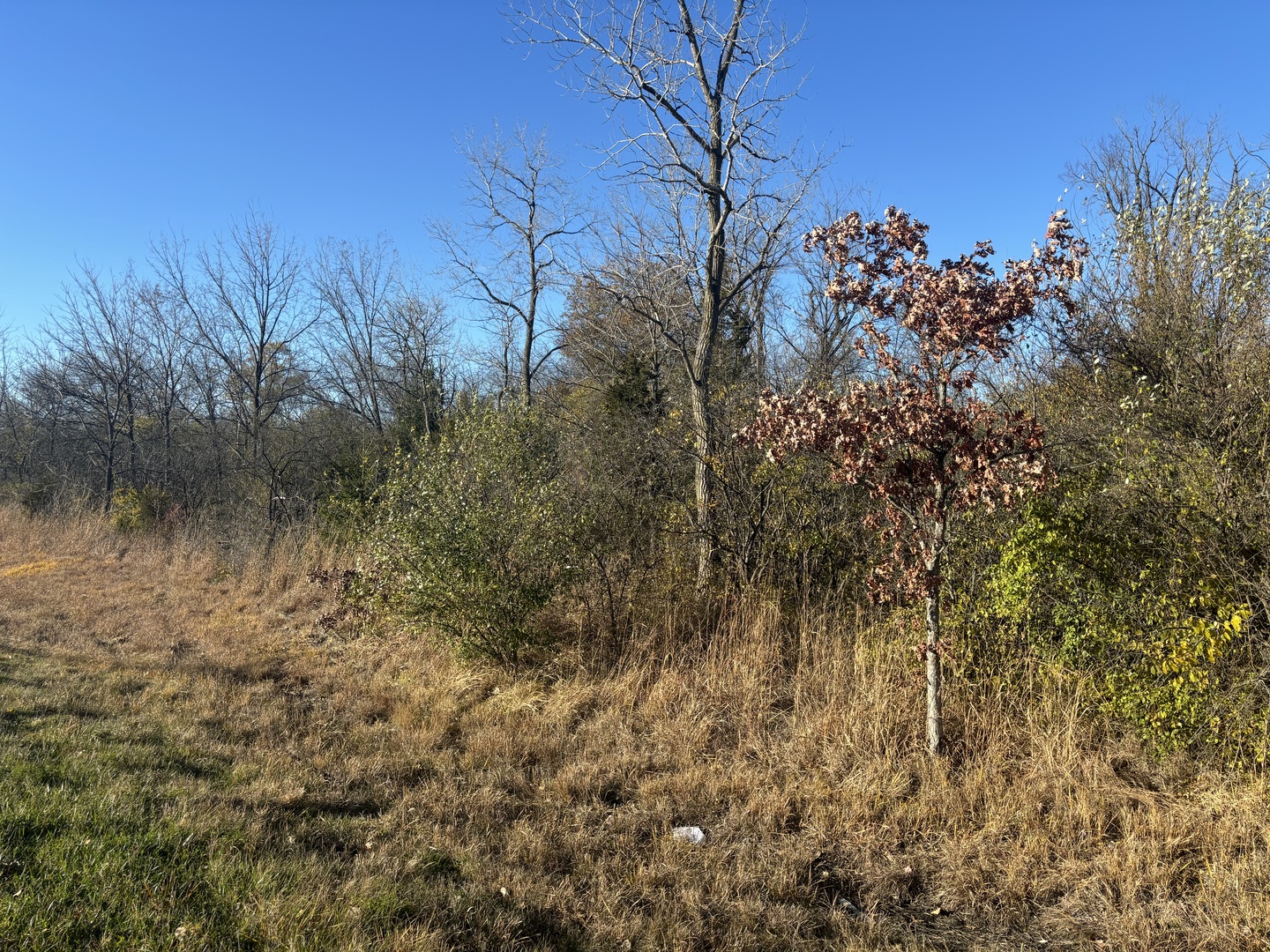 27570 W Il Route 176, Wauconda, IL 60084