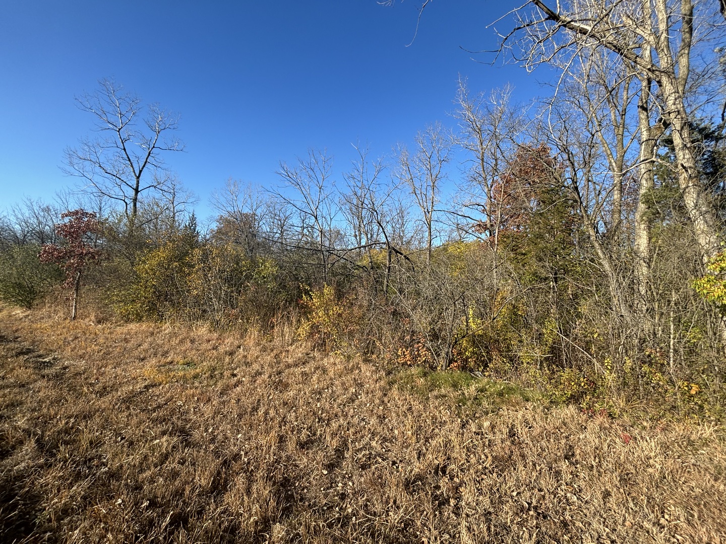 27570 W Il Route 176, Wauconda, IL 60084