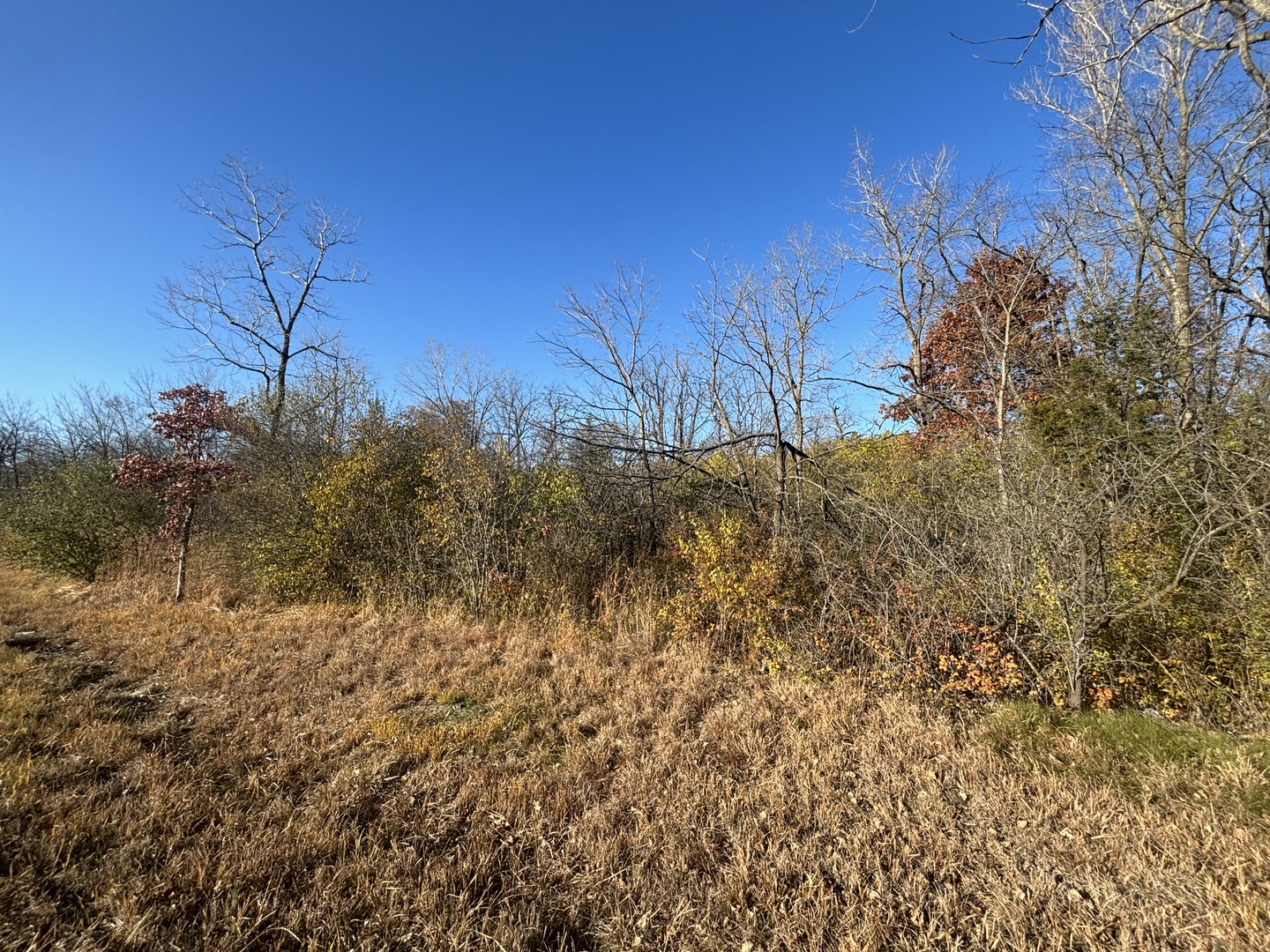 27570 W Il Route 176, Wauconda, IL 60084