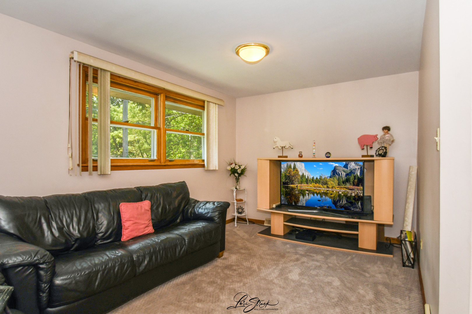 3409 173rd Place, Lansing, IL 60438