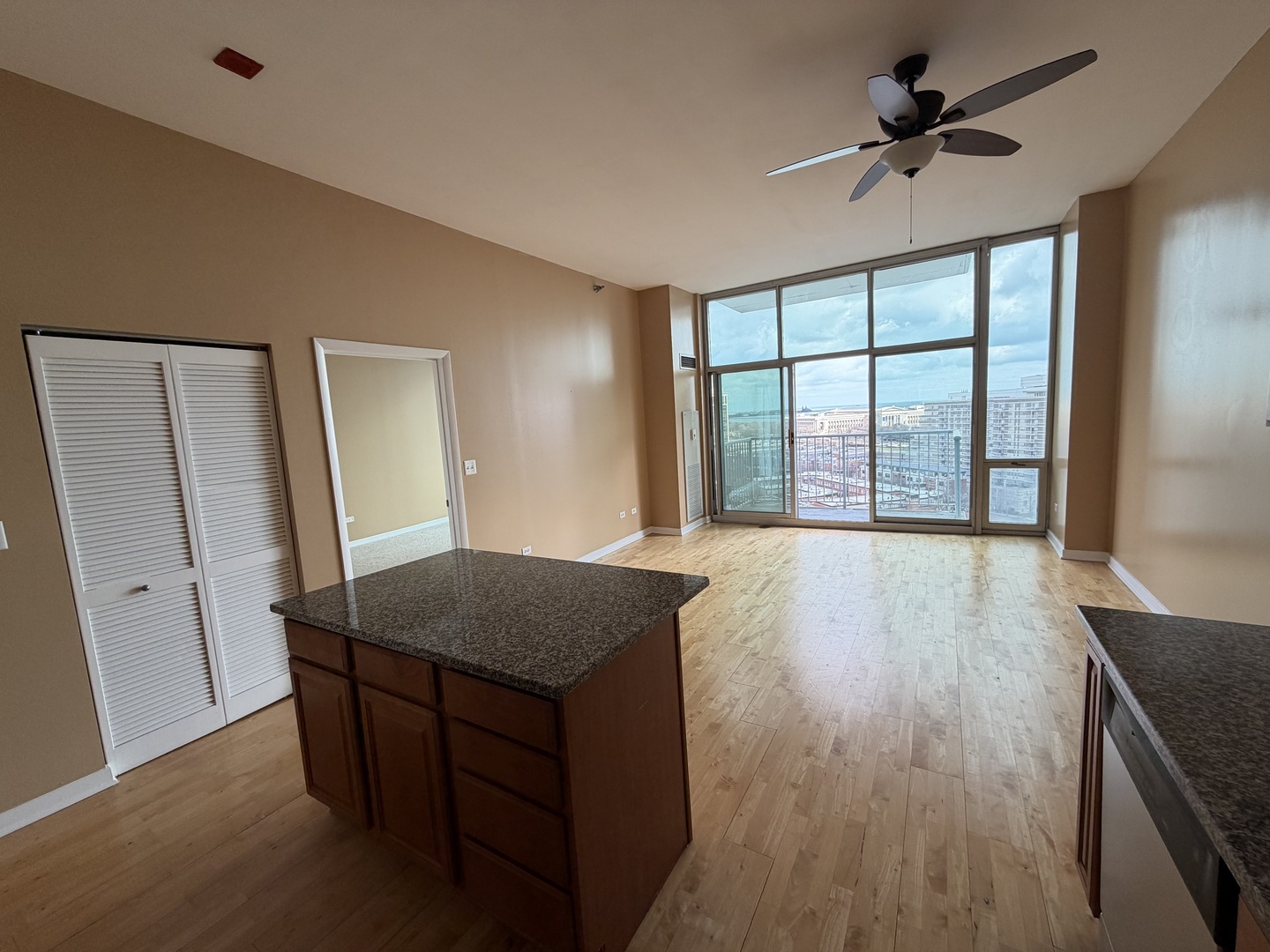 1600 S Indiana Avenue #1407, Chicago, IL 60616