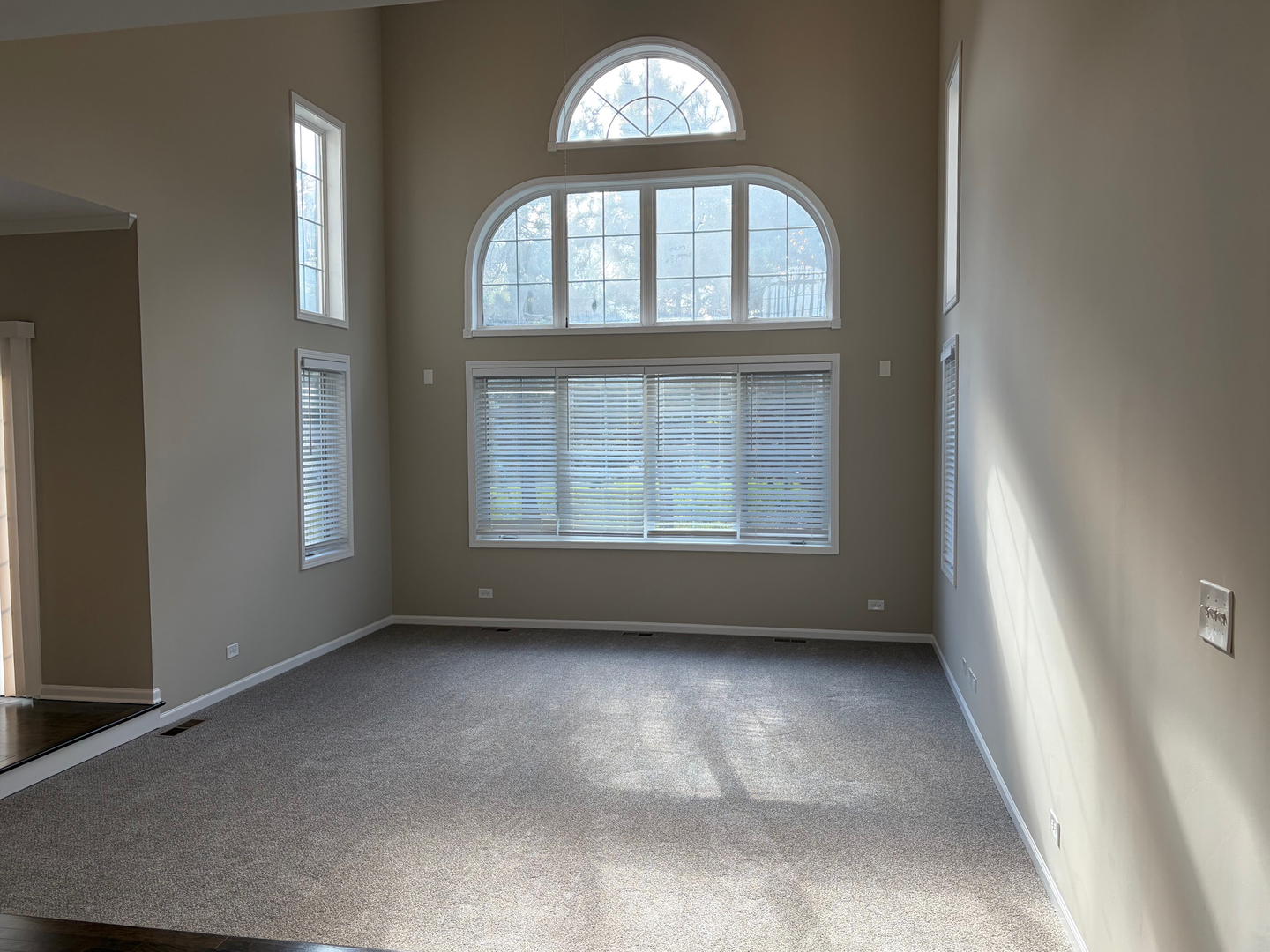 4 Alleghany Court, Bolingbrook, IL 60440