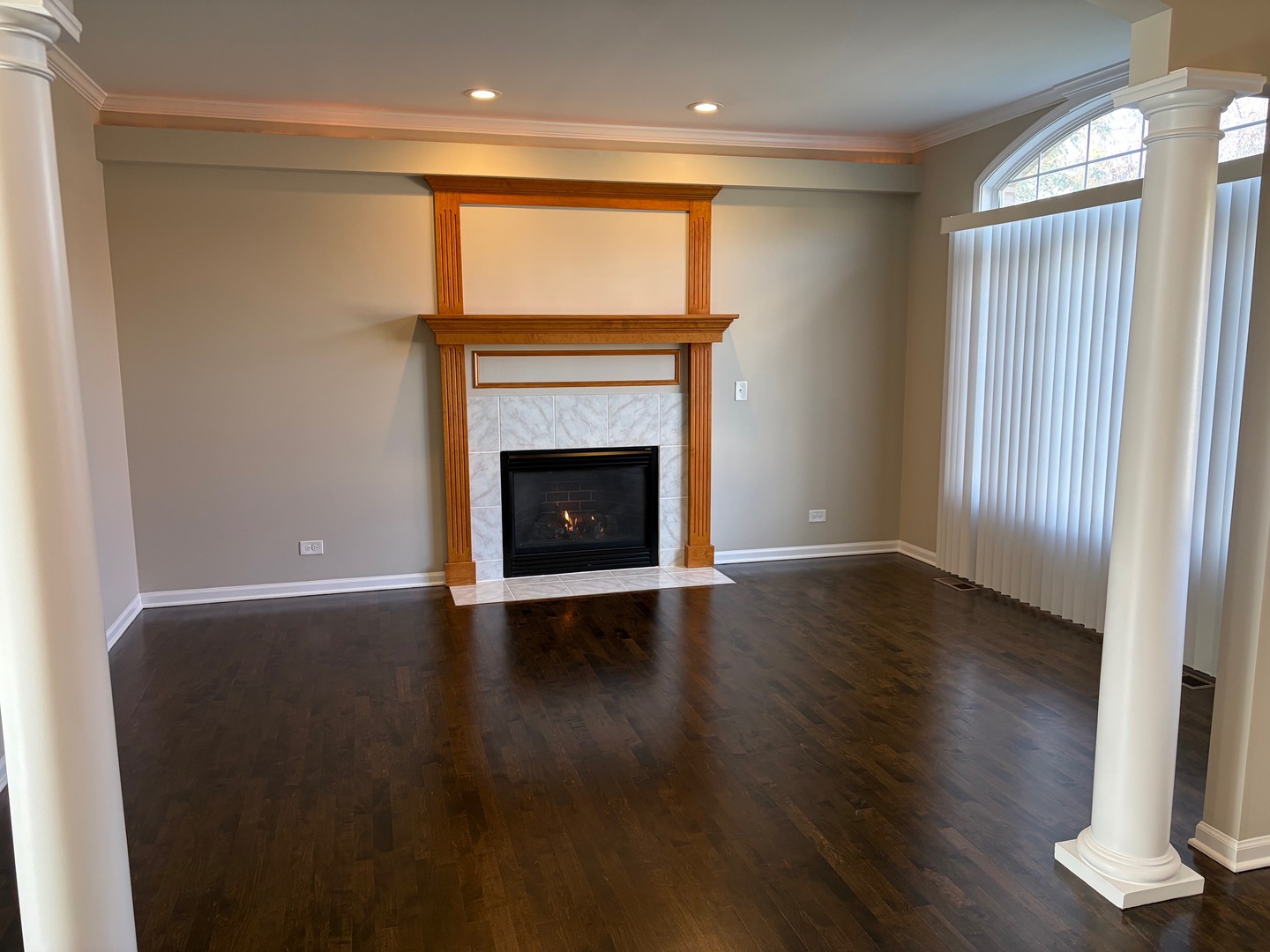 4 Alleghany Court, Bolingbrook, IL 60440