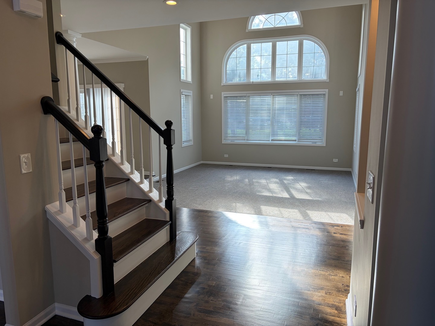 4 Alleghany Court, Bolingbrook, IL 60440