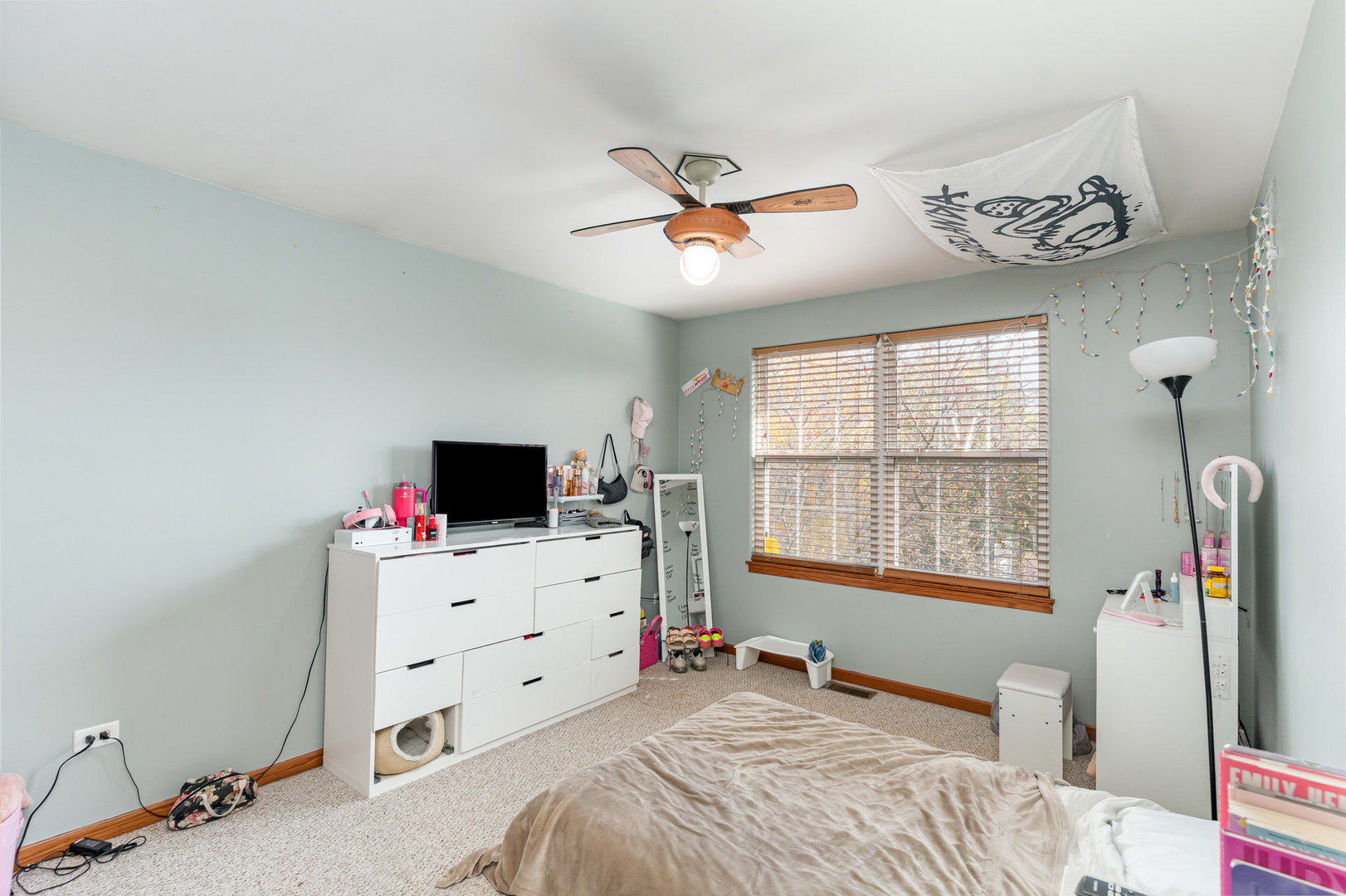 25308 S Mallard Drive, Channahon, IL 60410