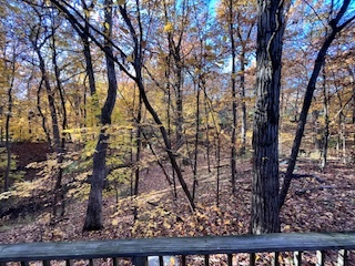 26712 S Jacobs Lane, Crete, IL 60417