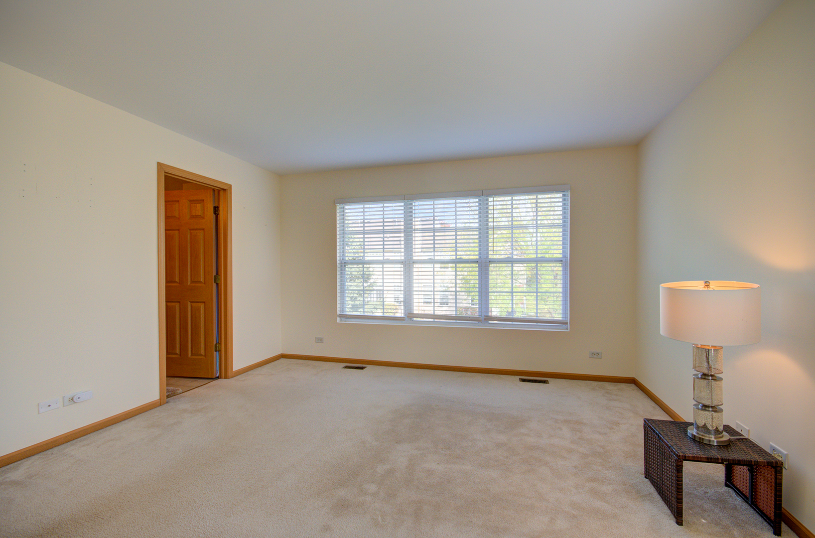 355 Grape Vine Trail, Oswego, IL 60543