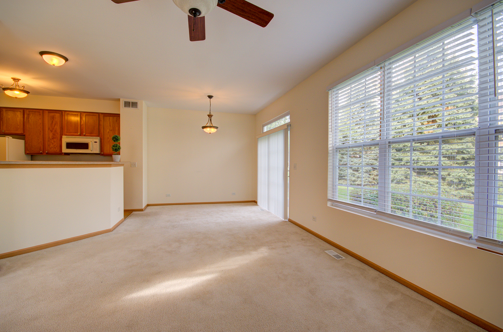 355 Grape Vine Trail, Oswego, IL 60543