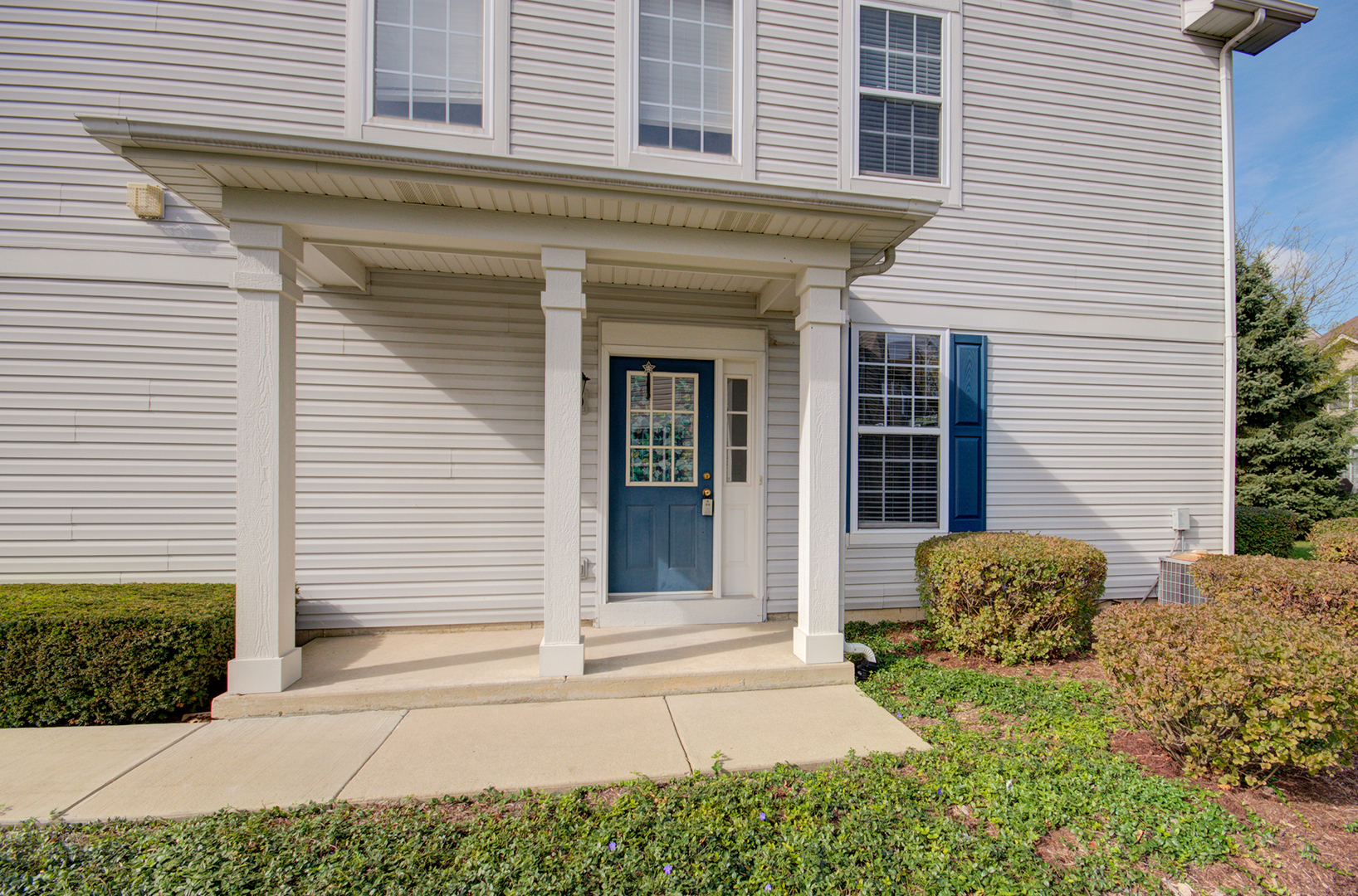 355 Grape Vine Trail, Oswego, IL 60543