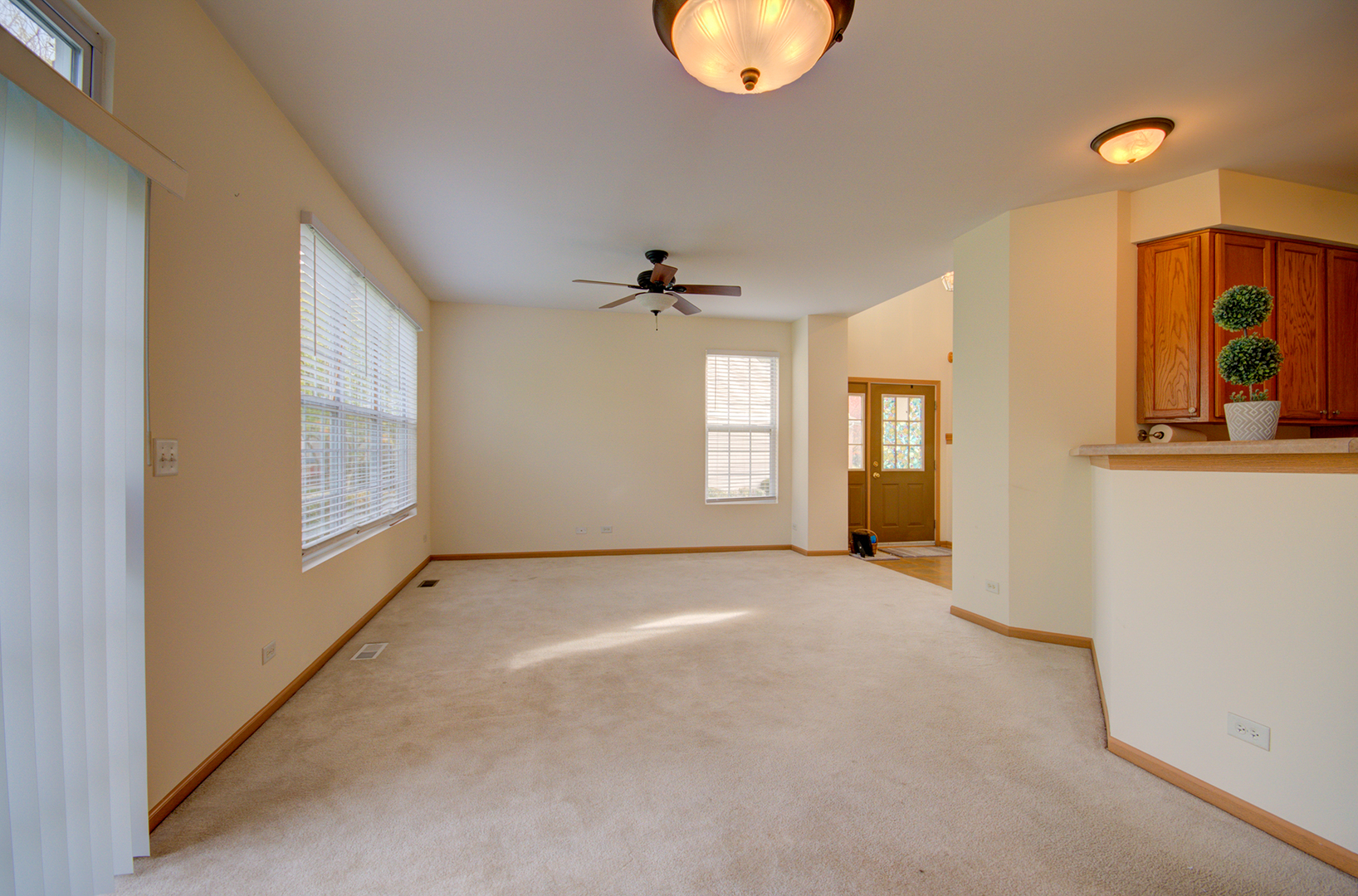 355 Grape Vine Trail, Oswego, IL 60543